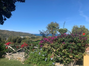 Villa Elisa